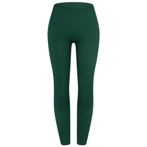 MSUSeamlessLegging Front