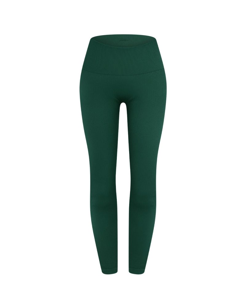 MSUSeamlessLegging Front