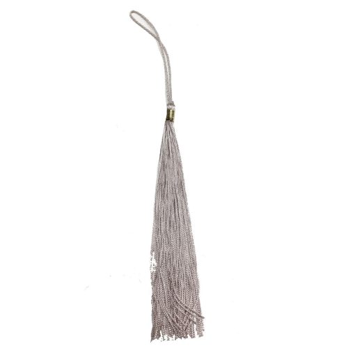 Tassel ComSciDis